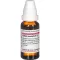 SABAL SERRULATUM Dilution J1, 20 ml