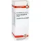 SALVIA OFFICINALIS Teinture mère, 20 ml