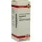 HAMAMELIS Teinture mère, 20 ml