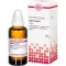 HEDERA HELIX Teinture mère, 50 ml