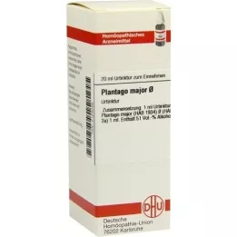 PLANTAGO MAJOR Teinture mère, 20 ml