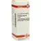 PLANTAGO MAJOR Teinture mère, 20 ml