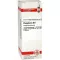 PHOSPHORUS Dilution D8, 20 ml