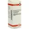 PETROSELINUM Dilution D6, 20 ml