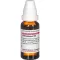 PETROSELINUM Dilution D6, 20 ml