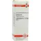CACTUS Dilution D6, 20 ml