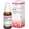 CACTUS Dilution D6, 20 ml