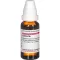 CACTUS Dilution D6, 20 ml