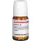 BERBERIS D 6 comprimés, 80 pc