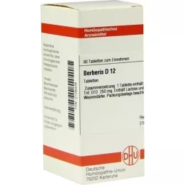BERBERIS D 12 comprimés, 80 pc