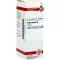 AVENA SATIVA Teinture mère, 20 ml