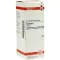 DAMIANA Teinture mère D 1, 50 ml
