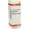 VISCUM ALBUM Teinture mère, 20 ml