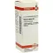 VISCUM ALBUM Dilution D2, 20 ml