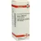 VISCUM ALBUM Dilution D6, 20 ml