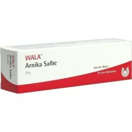 ARNIKA POMMADE, 30 g