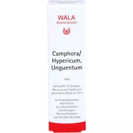 CAMPHORA/HYPERICUM Onguent, 30 g