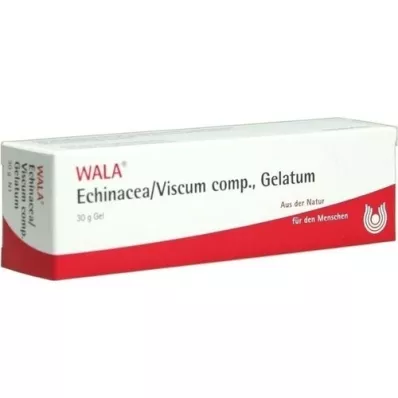 ECHINACEA/VISCUM comp. Gelatum, 30 g