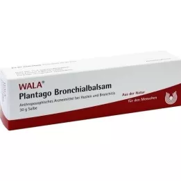 PLANTAGO BAUME BRONCHIQUE, 30 g