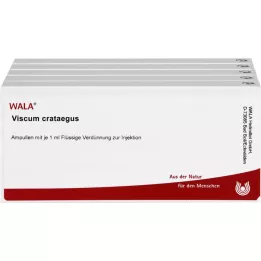 VISCUM CRATAEGUS Ampoules, 50X1 ml