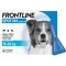 FRONTLINE Spot sur H 20 vétérinaire.Solution, 6 pièces