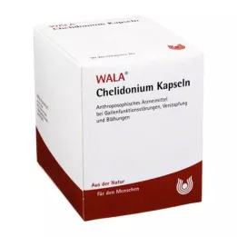 CHELIDONIUM GRAPPINES, 90 pièces