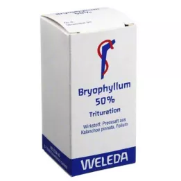 BRYOPHYLLUM 50% Poudre pour voie orale, 20 g
