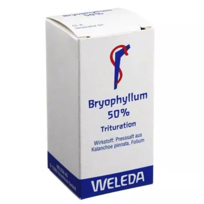 Bryophyllum 50% poudre orale, 20 g
