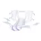 SUPER SENI Culotte dincontinence Plus nuit f.E.taille 2 M, 30 pièces