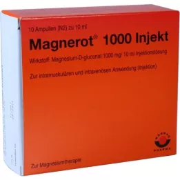 MAGNEROT 1000 ampoules injectables, 10X10 ml