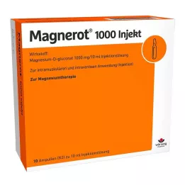 MAGNEROT 1000 ampoules injectables, 10X10 ml