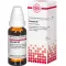 CLEMATIS D 6 Dilution, 20 ml