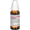 GNAPHALIUM POLYCEPHALUM D 12 Dilution, 20 ml