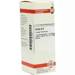 SCILLA D 6 Dilution, 20 ml