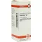 VERBASCUM D 2 Dilution, 20 ml