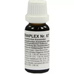 REGENAPLEX N°67 gouttes, 15 ml