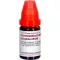 GRAPHITES LM XXX Dilution, 10 ml