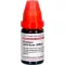 PLUMBUM METALLICUM LM XXIV Dilution, 10 ml