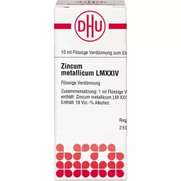 ZINCUM METALLICUM LM XXIV Dilution, 10 ml