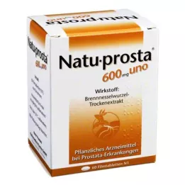 NATUPROSTA 600 mg uno Comprimés pelliculés, 60 comprimés