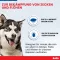 Ruban de protection contre les puces Bolfo pour grands chiens, 1 pc