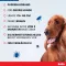 Ruban de protection contre les puces Bolfo pour grands chiens, 1 pc