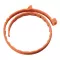 BOLFO Bande anti-puces brune pour petits chiens/chats, 1 pc