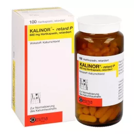 KALINOR retard P 600 mg gélules, 100 gélules