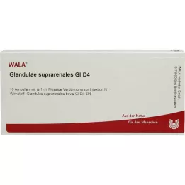 GLANDULAE SUPRARENALES GL D 4 ampoules, 10X1 ml