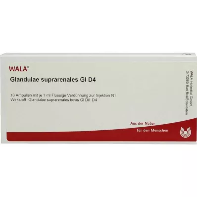 Glandulae suprarenalis GL D 4 ampoules, 10X1 ml Glandulae suprarenalis GL D 4 ampoules, 10X1 ml