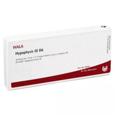 HYPOPHYSIS GL D 6 ampoules, 10X1 ml HYPOPHYSIS GL D 6 ampoules, 10X1 ml
