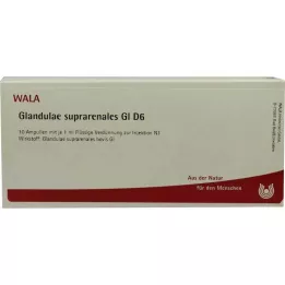 GLANDULAE SUPRARENALES GL D 6 ampoules, 10X1 ml