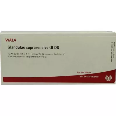 Glandulae suprarenalis GL D 6 ampoules, 10X1 ml Glandulae suprarenalis GL D 6 ampoules, 10X1 ml