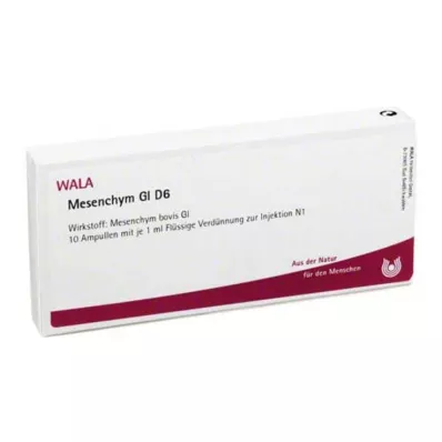 MESENCHYM GL D 6 ampoules, 10X1 ml